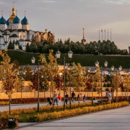 С Днём знаний и началом учебного года!