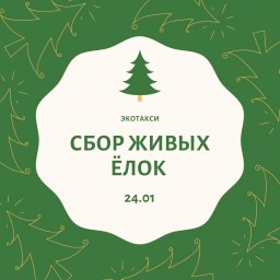 24 января в Казани пройдет сбор живых елок