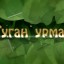 Шураленок спел песню «Туган урман» («Родной лес»)