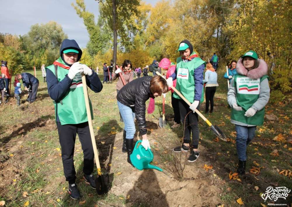 День посадки леса в Татарстане