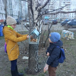 Покормили птичек печенькой