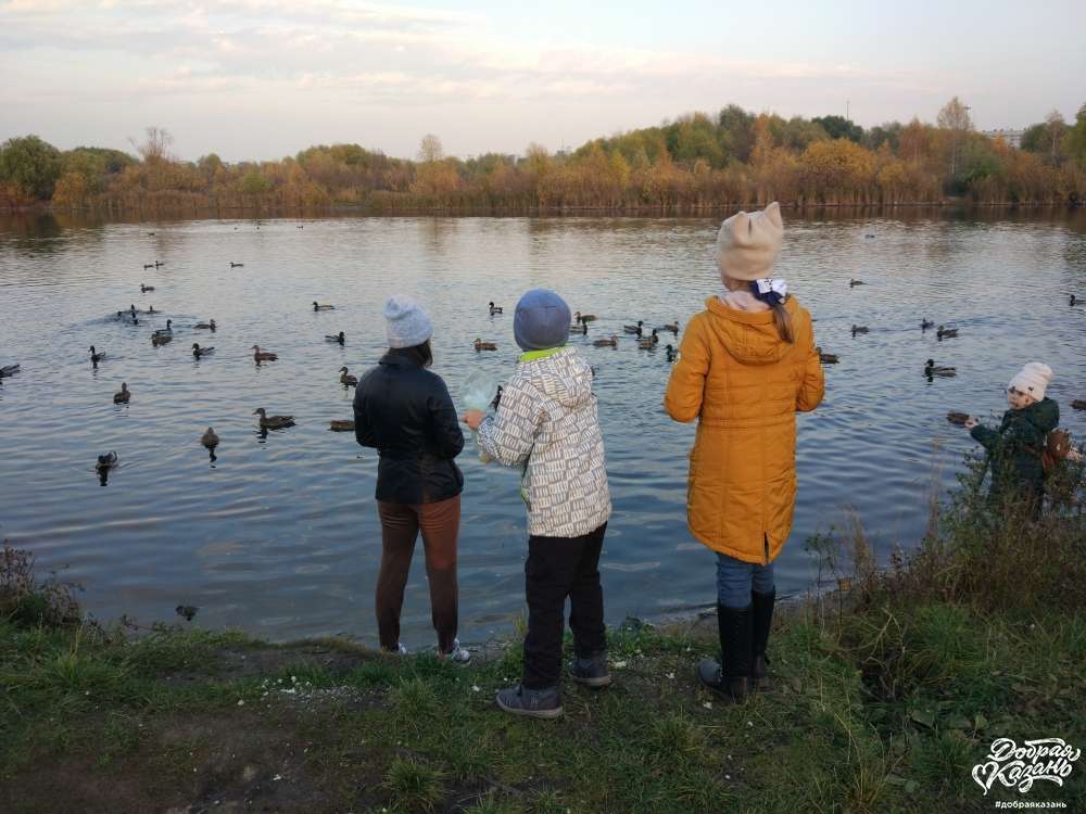 Покормила уток в парке хлебушком