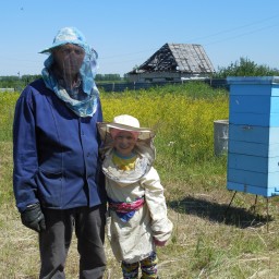 Помогаю Бабаю на пасеке