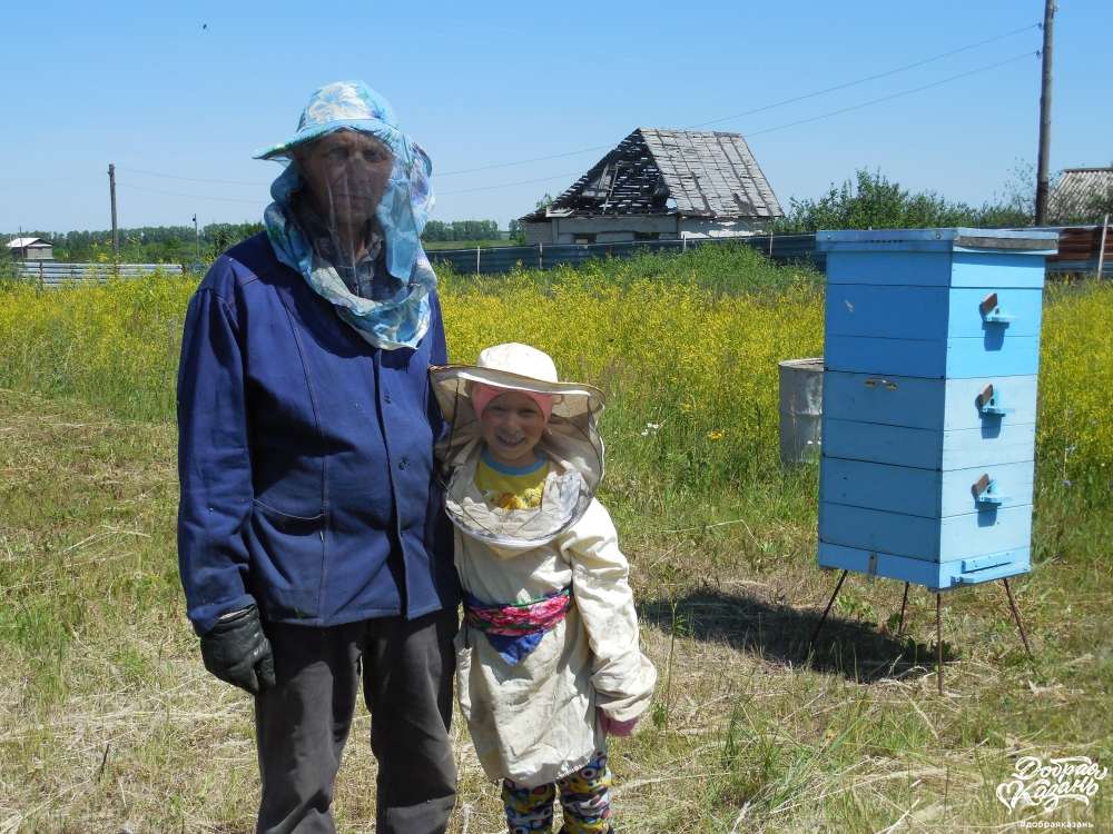 Помогаю Бабаю на пасеке