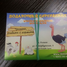 Получила призы за участников своего класса