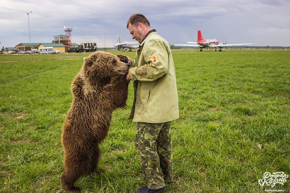 Просто до слёз...