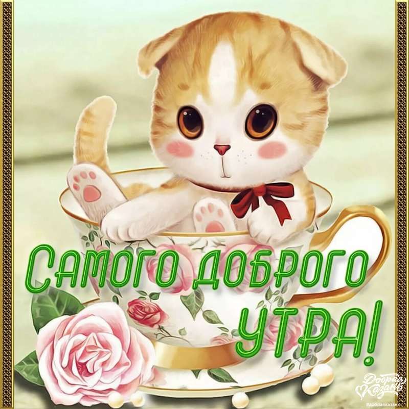 С добрым утром !!!