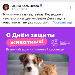 Участие во флешмобе