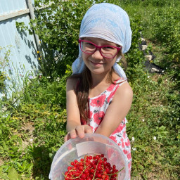 Убирали урожай смородины