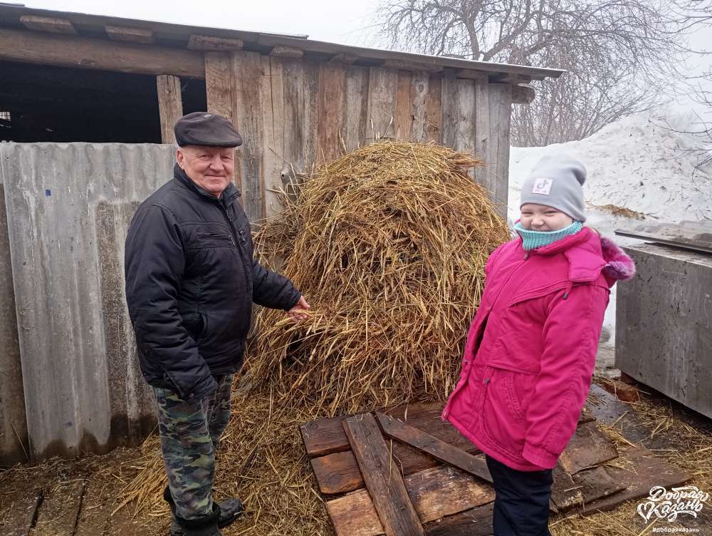 Готовим обед для коровы.