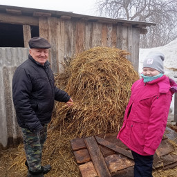 Готовим обед для коровы.