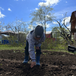 Помощь с посадкой лука