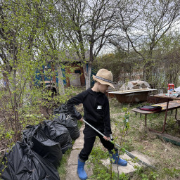 Убрались в огороде