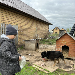 Покормил собачку