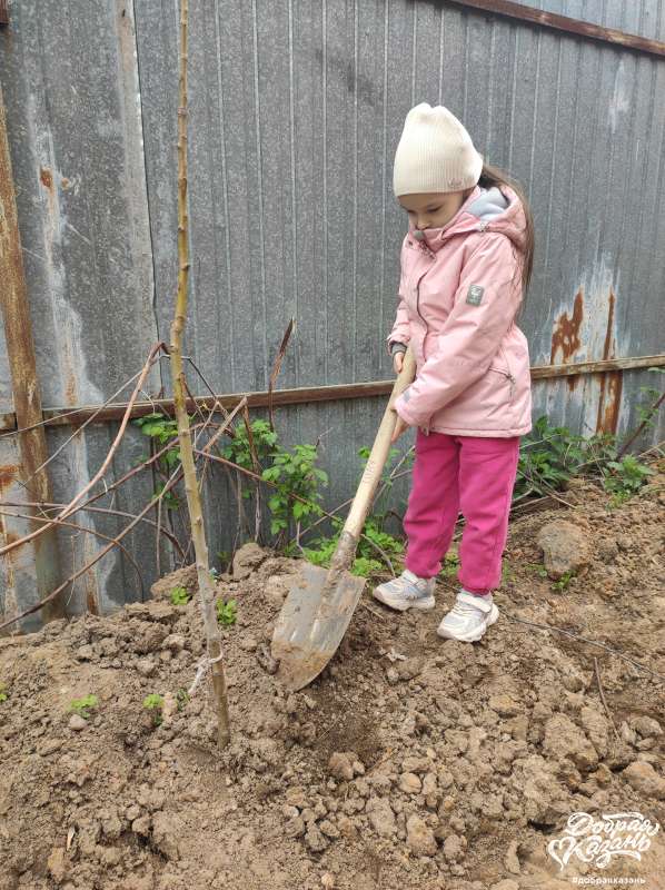 Работа в огороде