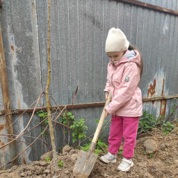 Работа в огороде