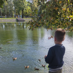 Покормили уточек в парке