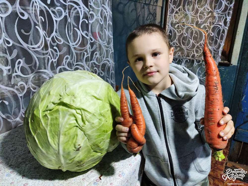 Помог бабушке собрать гигантский урожай