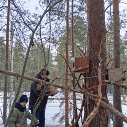 Угостил лесных жителей